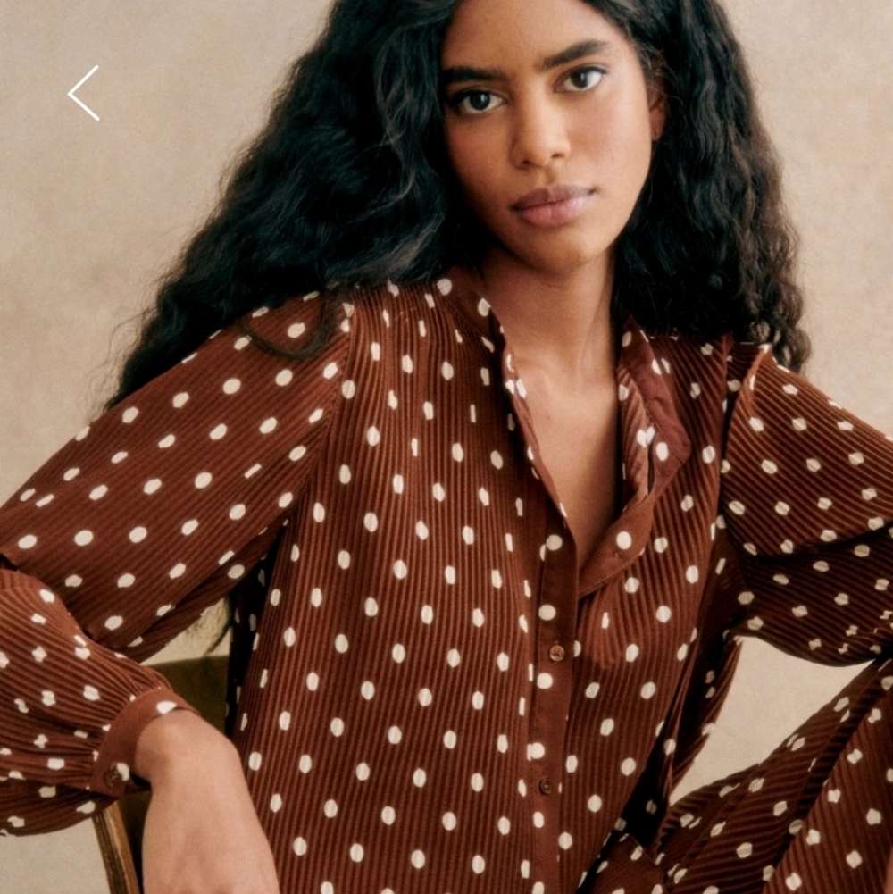 Sezane Brown Polka Dot Blouse